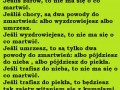 Zmartwienia