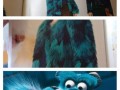 Bój się sully