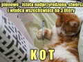 Hasło na 3 litery