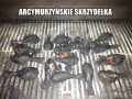 Pychotka