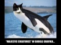 Majestic creatures
