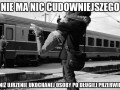 Nie ma nic cudowniejszego