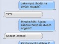 Zagadka 2