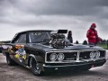 Muscle