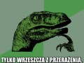 A co jeśli ptaki nie śpiewają
