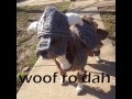 Woof ro dah