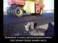 Trolling jest sztuką