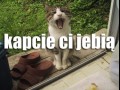 Kapcie ci śmierdzą