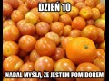 Nadal tak myślą