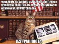 Zaufaj kotu