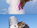 Oh snowman