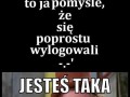 Jesteś taka inteligętna