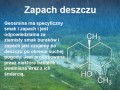Zapach deszczu