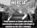 Bezwładność