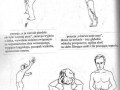Karate po polsku