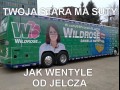 Twoja stara ma suty