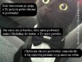 Bohater poradnika