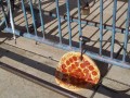 Chroń pizzę przed kradzieżą