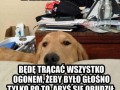 O poranku