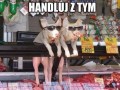 Handluj z tym 1