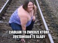 Zjadła
