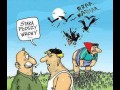 Stara płoszy wrony