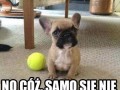 No nie da rady tak samo