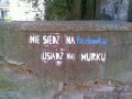 Noł lajfy2000