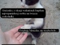 Z okazji walentynek zamknij