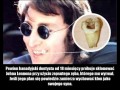 Szalony dentysta