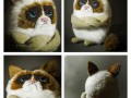 Pluszowy grumpy foch