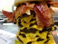 Mega omnomnom
