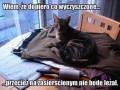 Wredna logika