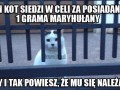 Narkoman