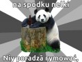 Niy poradza rymować