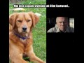 Clint eastwood
