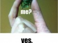 Will you smoke me