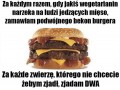 Pozdrawiam wegetarian