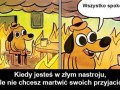 Wszystko w porządu
