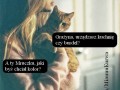 Miauu