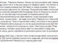 Idf vs hamas