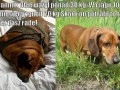 Jak chcesz to potrafisz