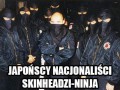Teraz widziałem już wszystko