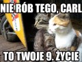 9 życie carla