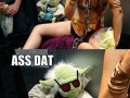Mistrz yoda