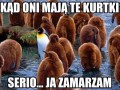 Serio pytam