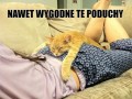 Do momentu aż pierdnie