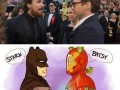 Stark  batsy