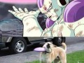 Frieza vs pies