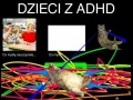Dzieci z adhd